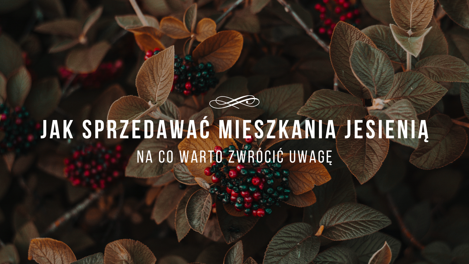 Read more about the article Sprzedajesz mieszkanie jesienią?